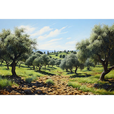 Olive Grove painting